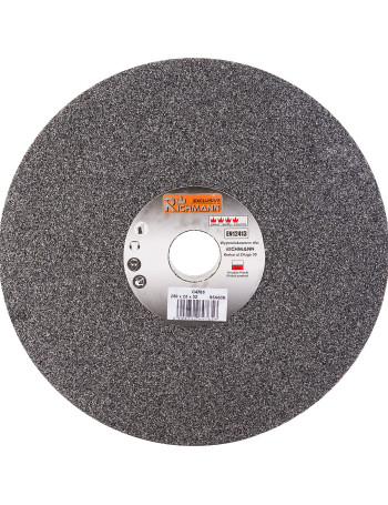 KERAMINIS ŠLIFAVIMO DISKAS 250 x 25 x 32 95A60K