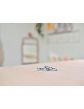 Inkarai 3-13 mm storio sienelėms Rapid 10 vnt max 25 kg