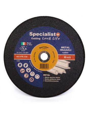 SPECIALIST+ metalo pjdiskas 300x28x254 mm